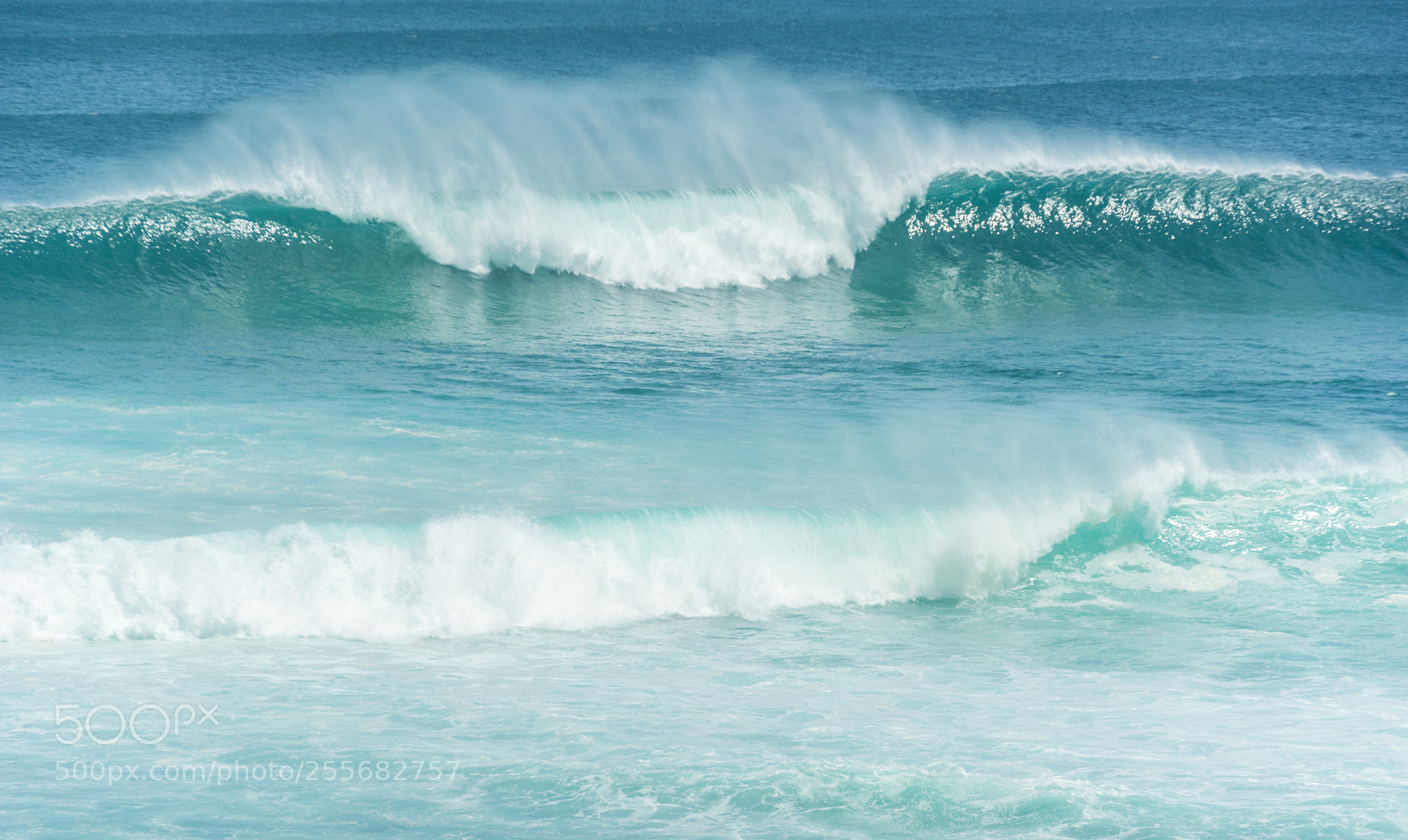 Nikon D5200 sample photo. Power of nature photography