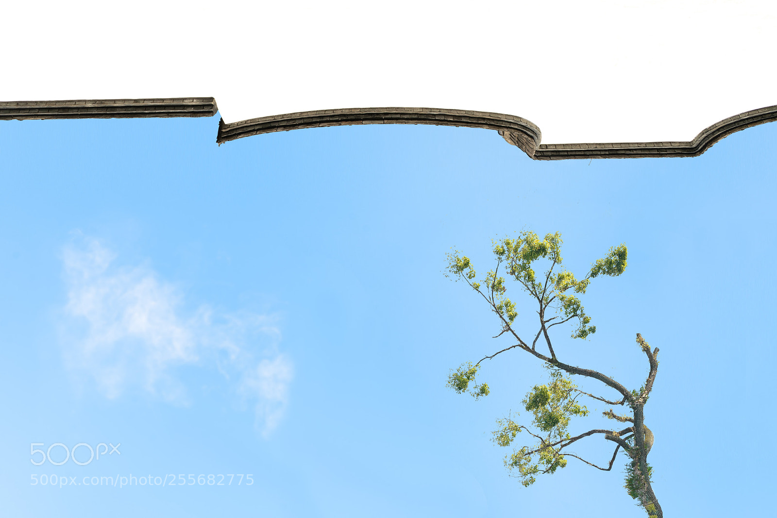 Sony a7R II sample photo. The wall photography