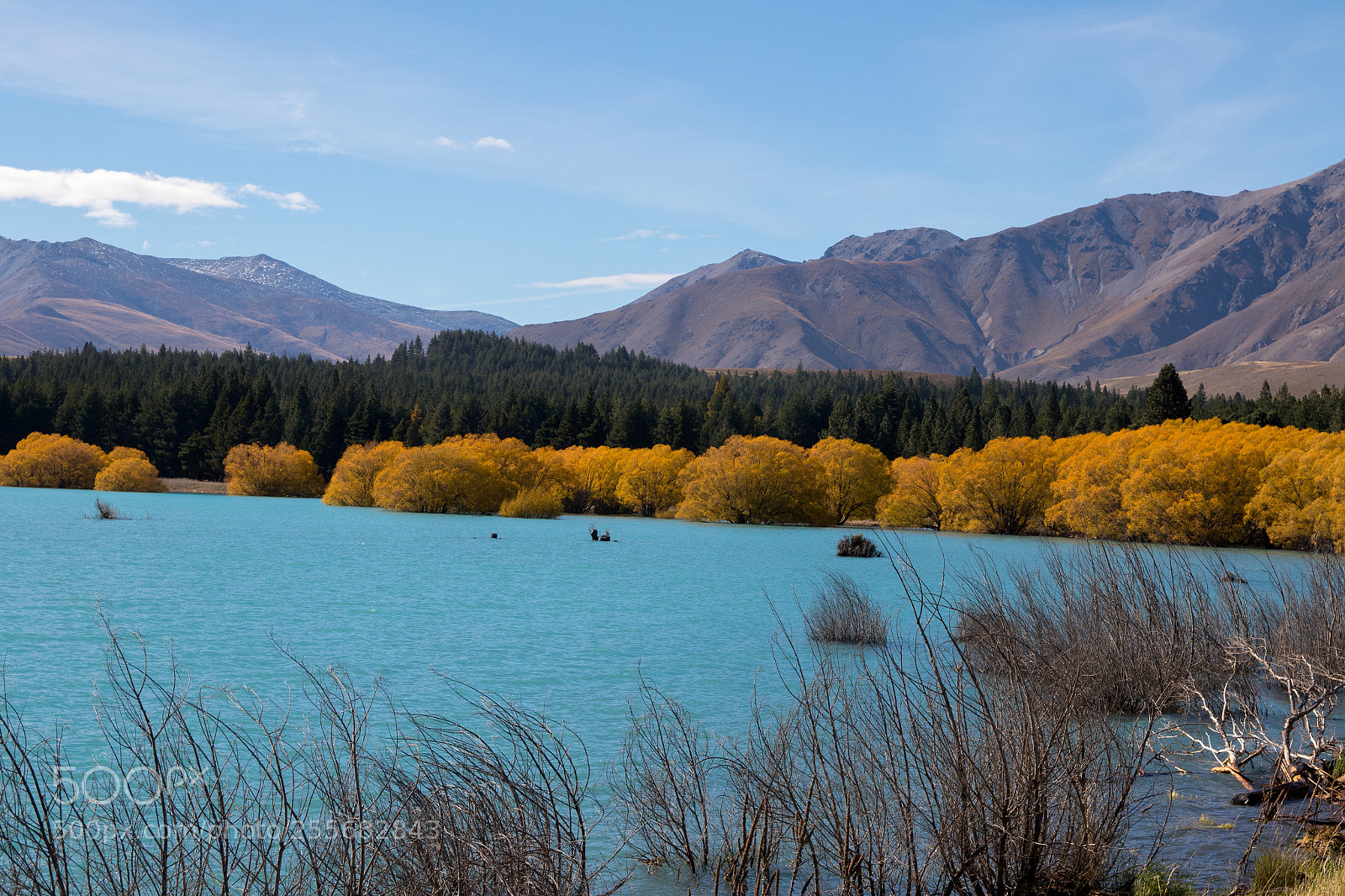 Canon EOS 7D Mark II sample photo. Autumn colors photography