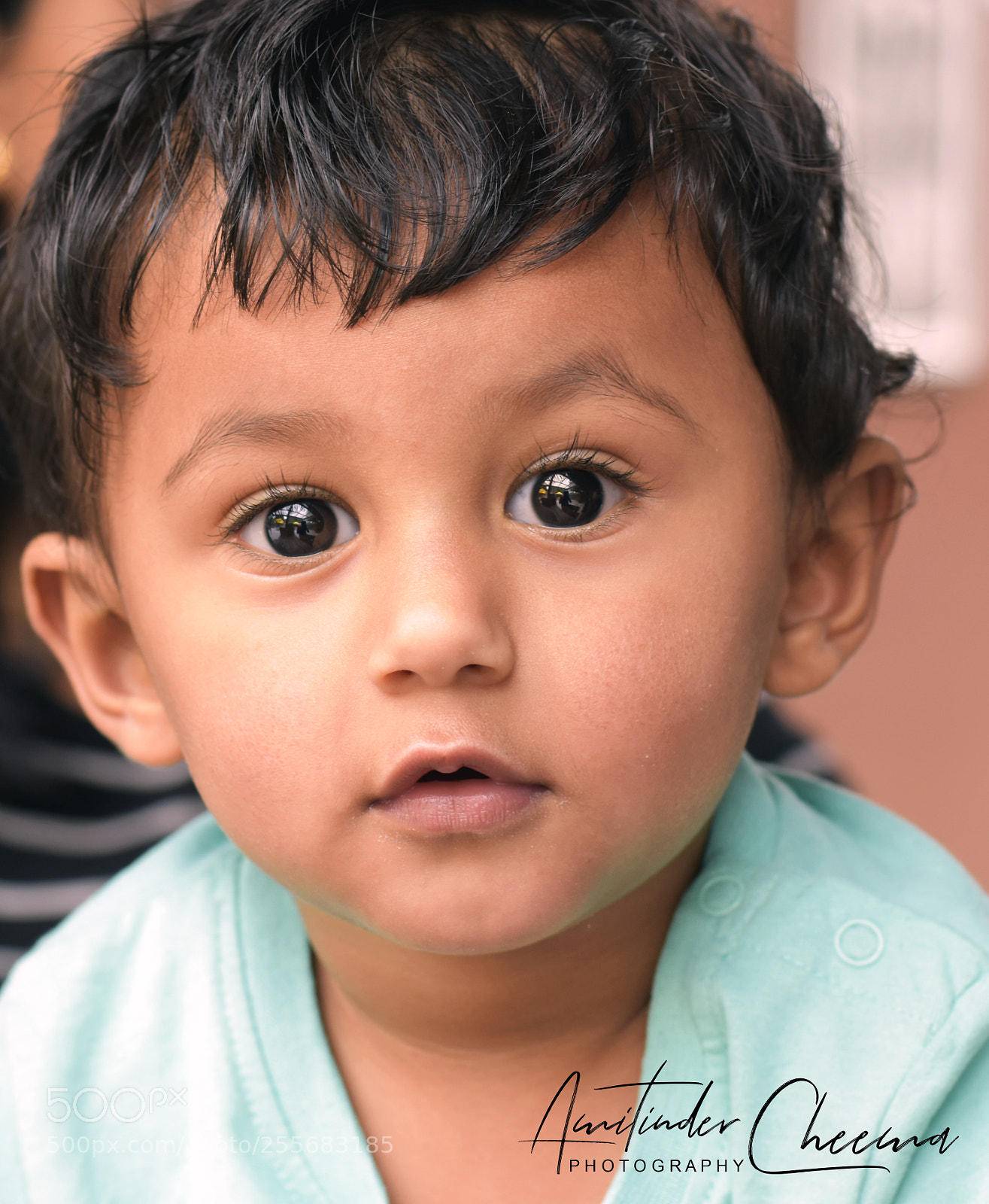 Nikon D5600 sample photo. Rayyan photography