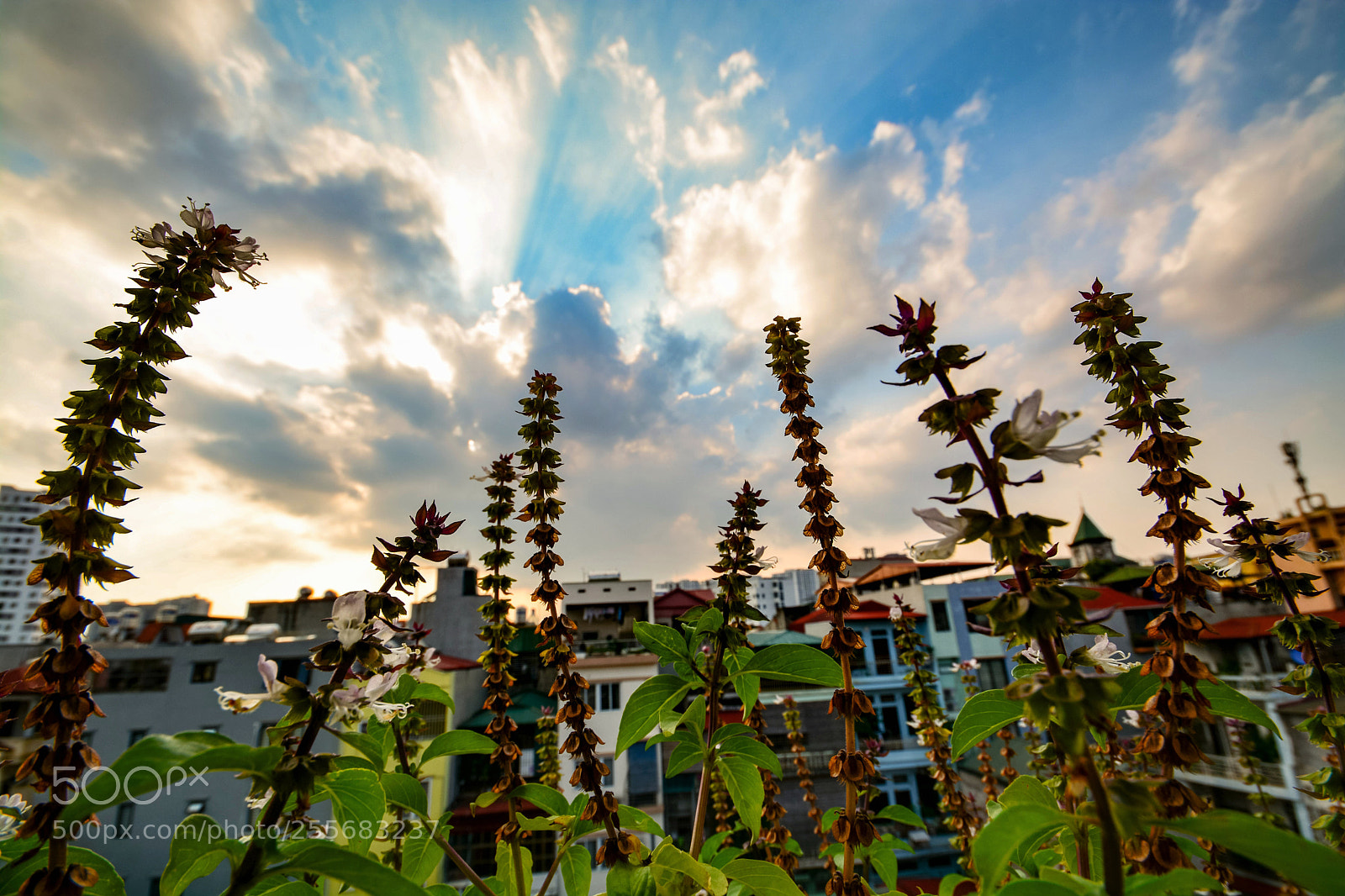Nikon D7100 sample photo. Untitled photography