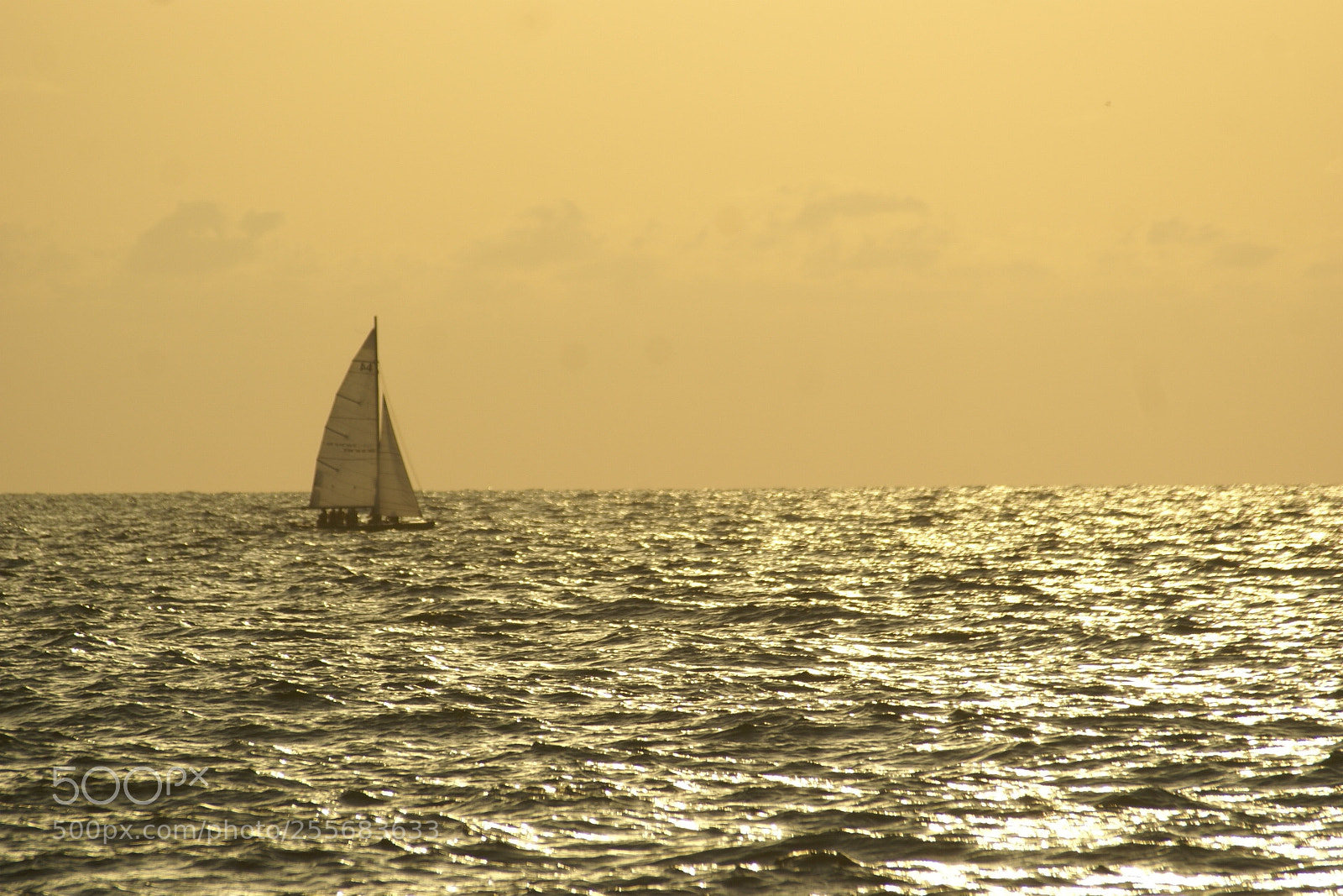Sony Alpha DSLR-A100 sample photo. Untitled photography