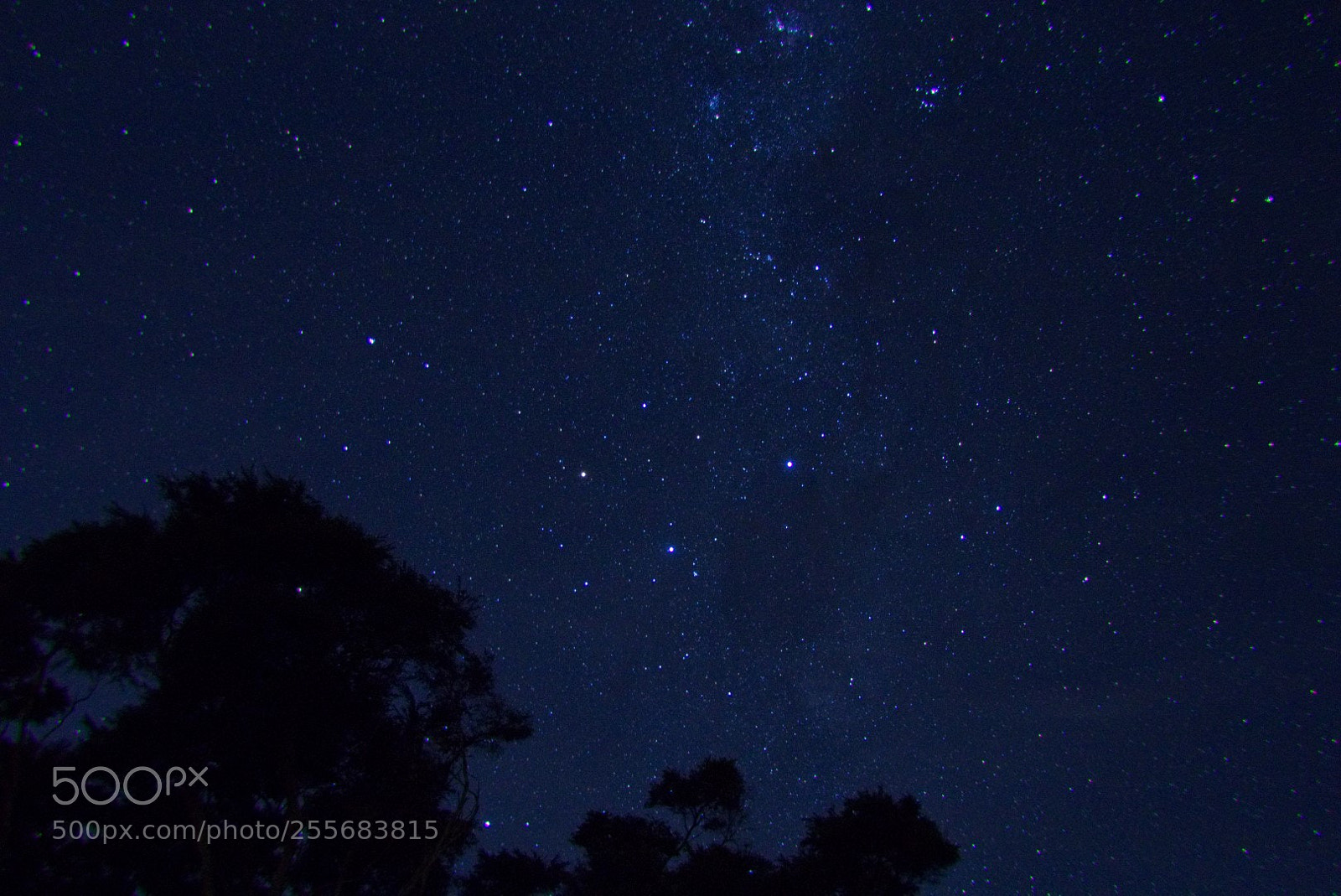 Canon EOS 70D sample photo. Bethells night sky with photography