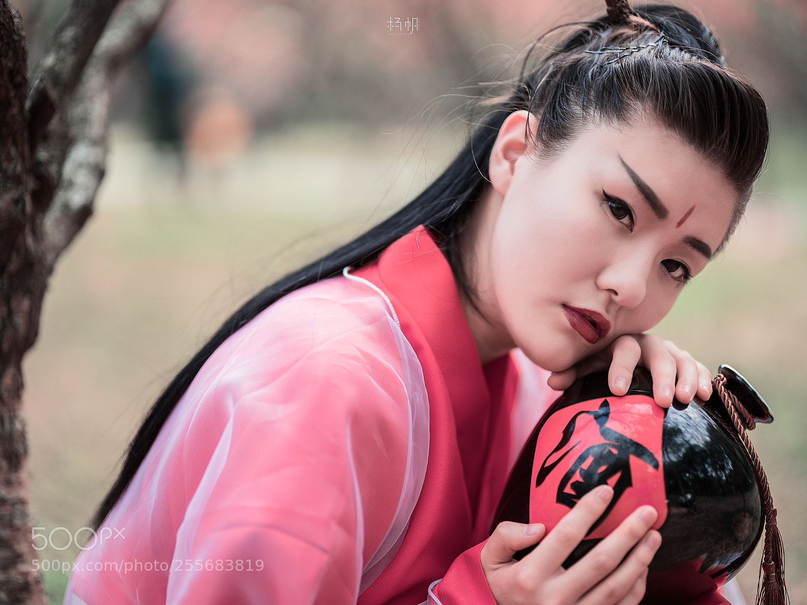 Fujifilm GFX 50S sample photo. 醉。桃花 photography
