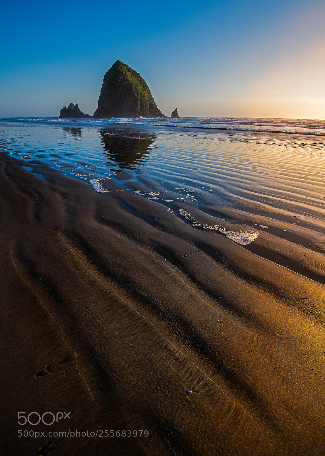 Nikon D850 sample photo. Cannon beach photography
