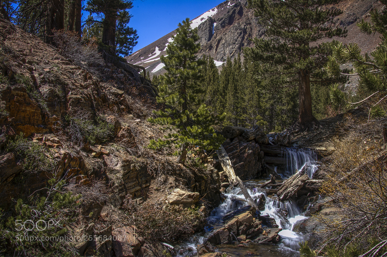 Nikon D7100 sample photo. Yosemite in may photography