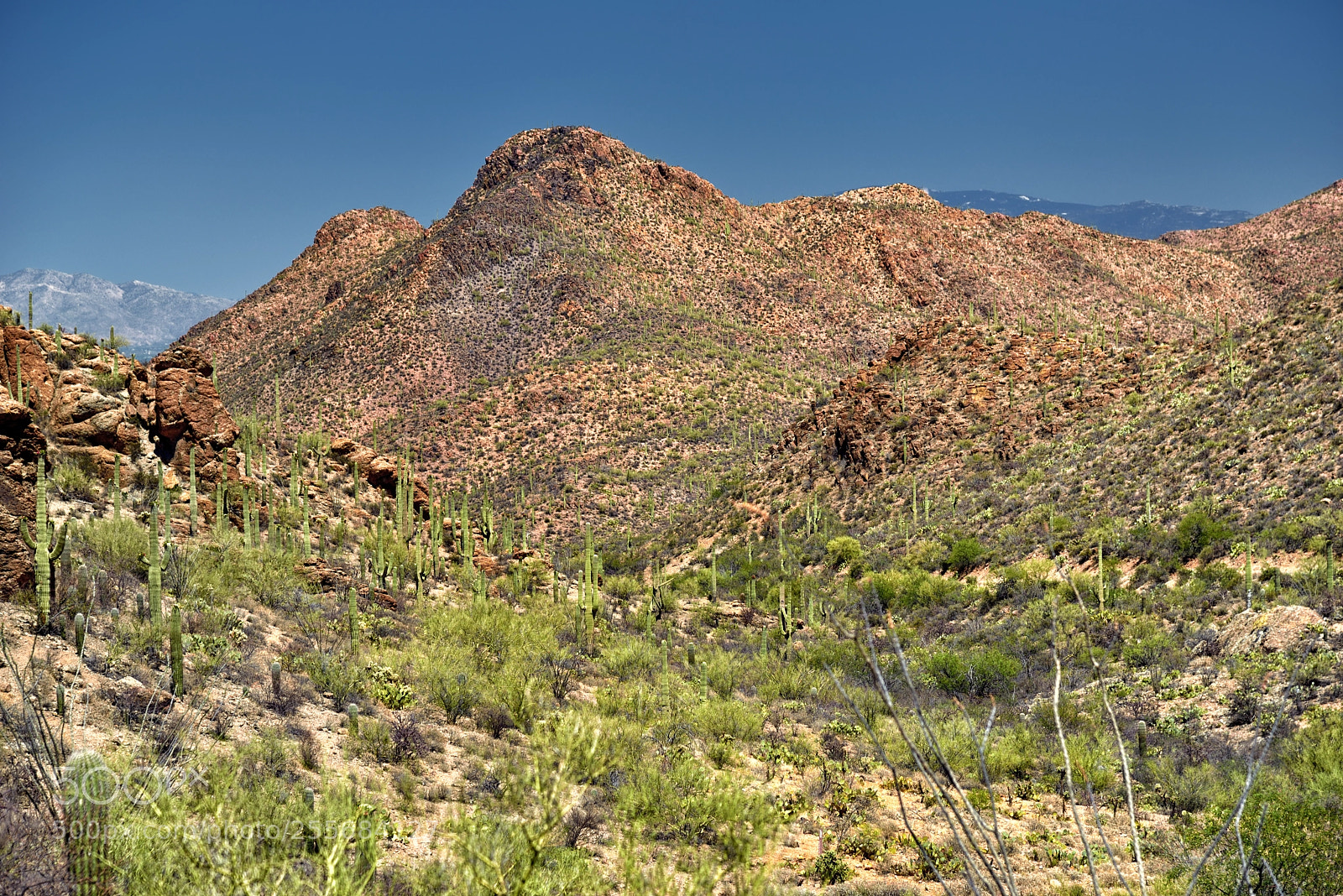 Nikon D800E sample photo. Late afternoon sun over photography