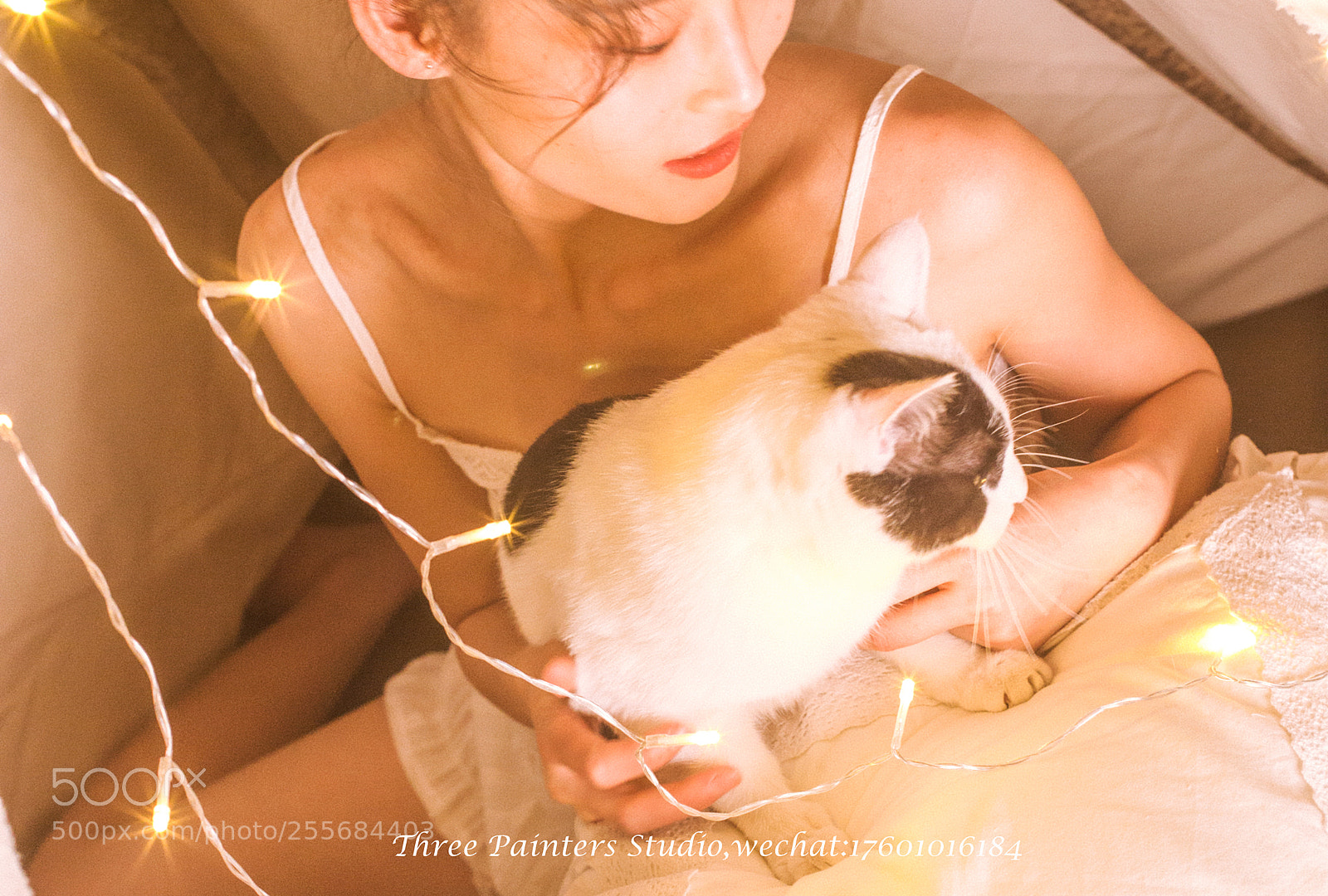 Canon EOS 6D sample photo. -lights photography