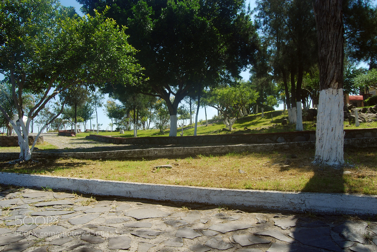 Nikon D40X sample photo. Park photography