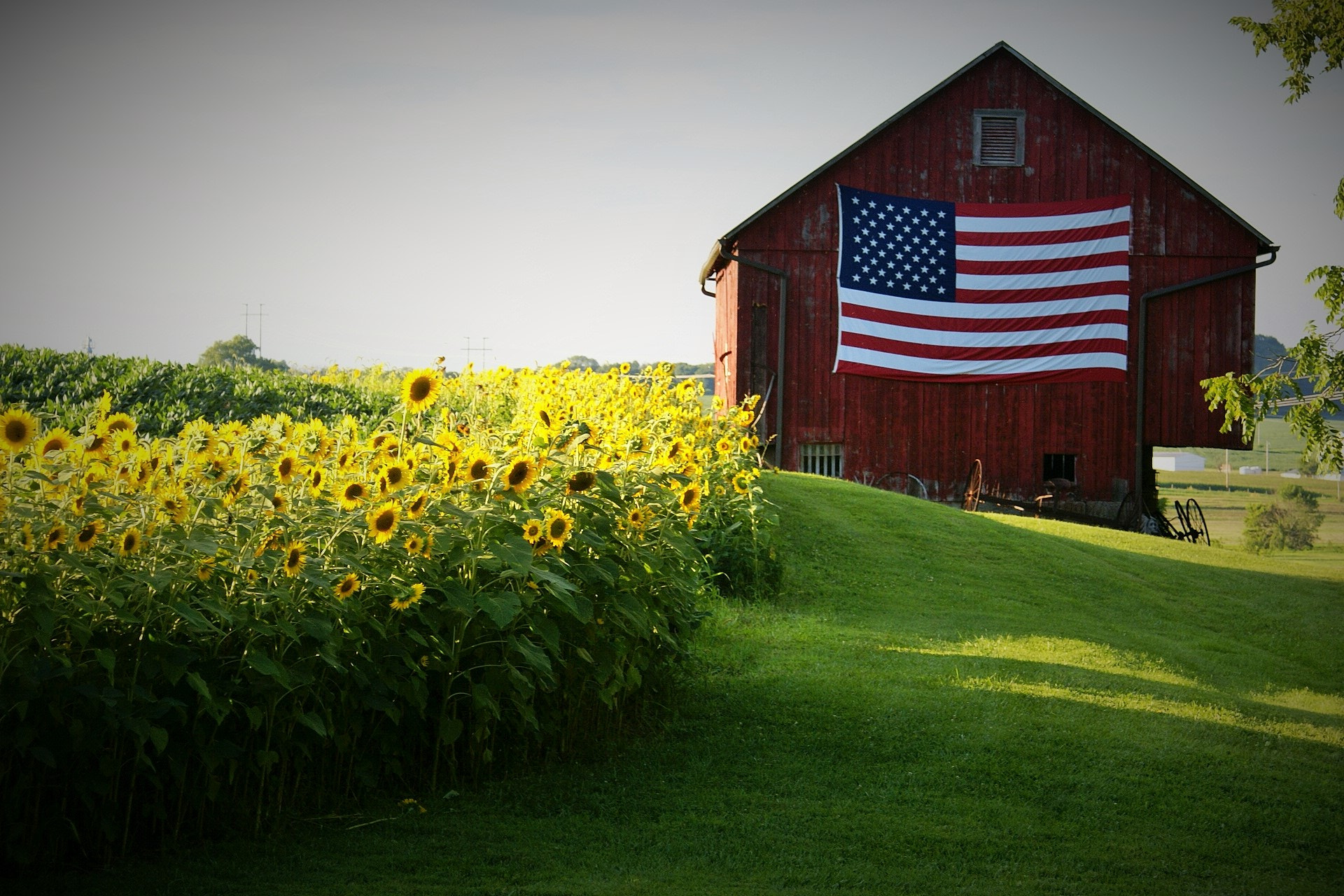 Sony Alpha DSLR-A100 sample photo. Patriot barn photography