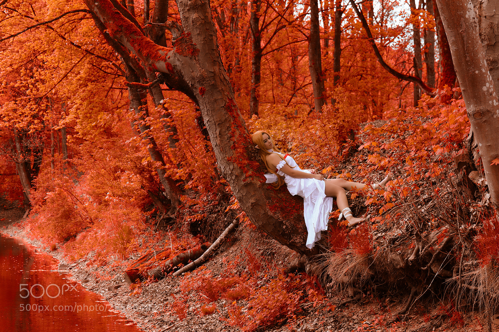Canon EOS 7D Mark II sample photo. Magica photography