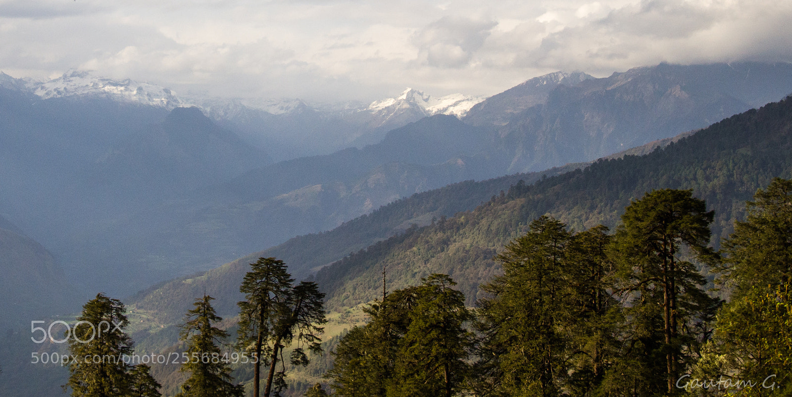 Nikon D7000 sample photo. In the clouds photography
