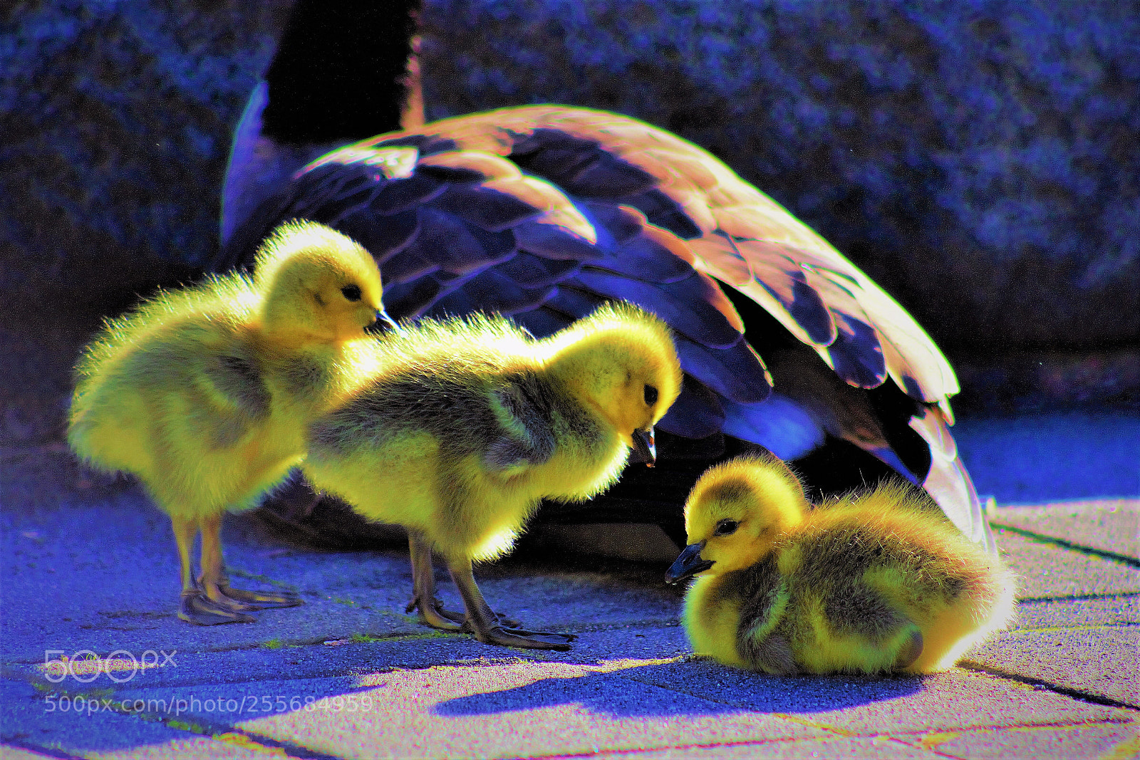 Canon EOS 60D sample photo. Break -- 小息 photography