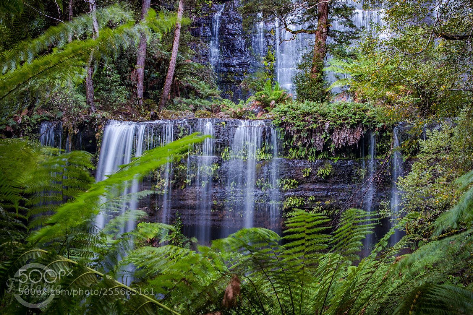 Canon EOS 5D Mark IV sample photo. Russell falls photography