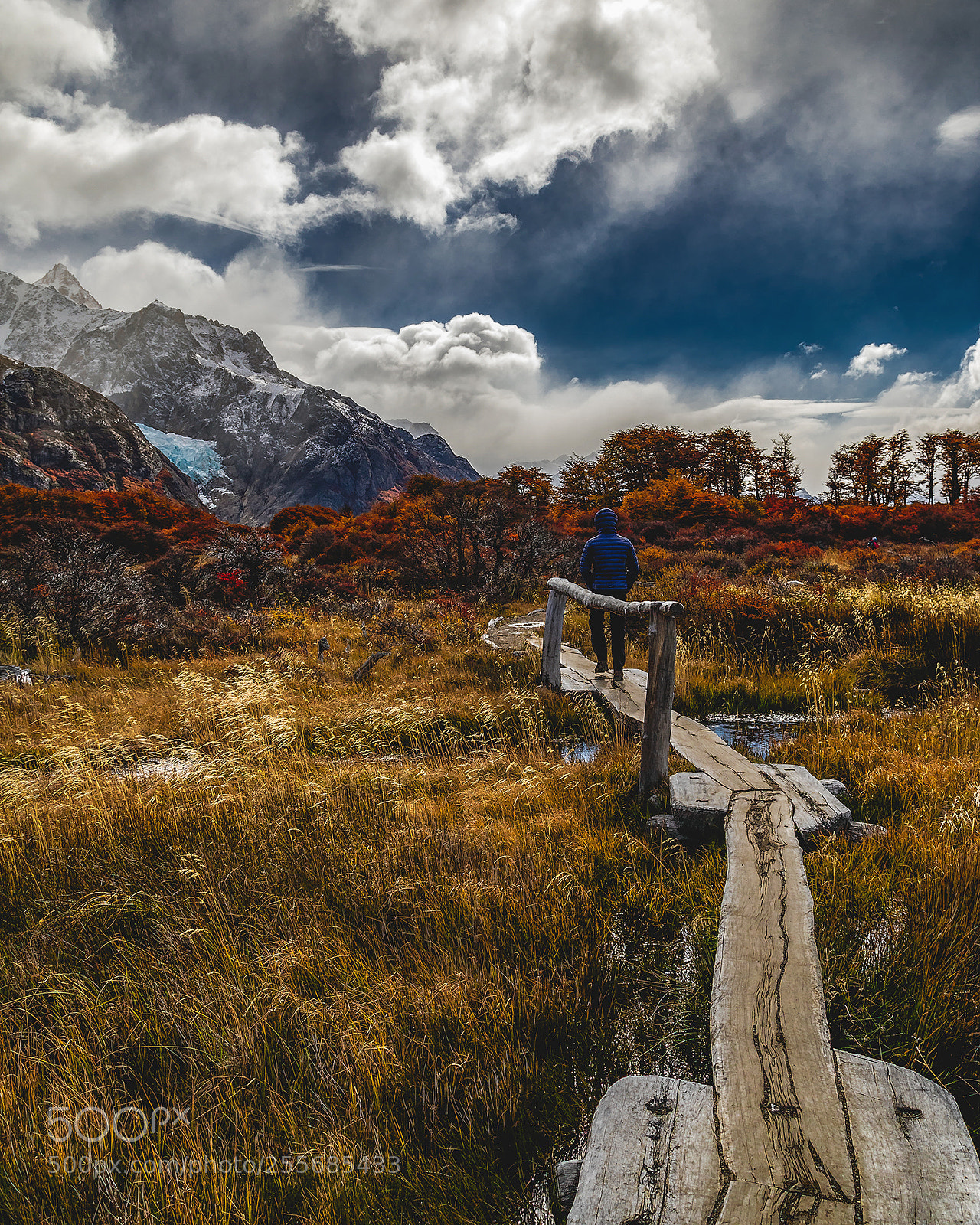 Canon EOS 5D Mark IV sample photo. Pathway photography