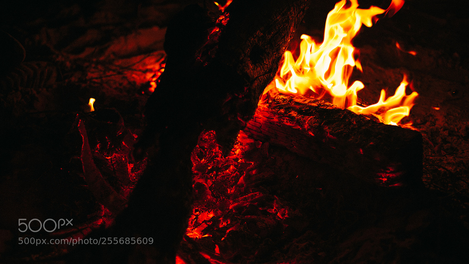 Nikon D700 sample photo. Bonfire photography