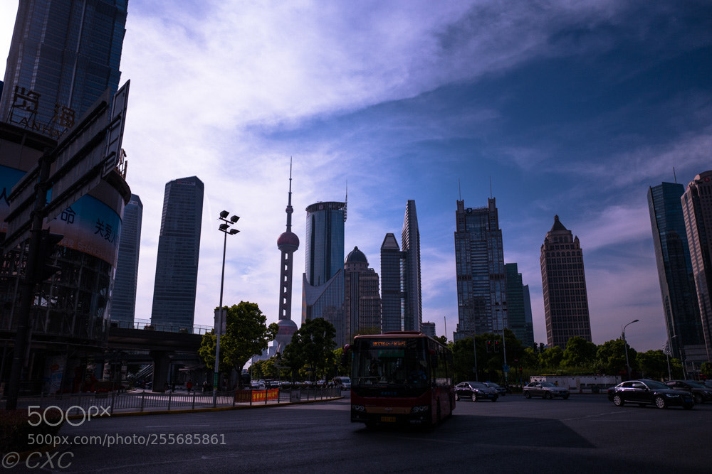 Leica Q (Typ 116) sample photo. Shanghai -5 photography