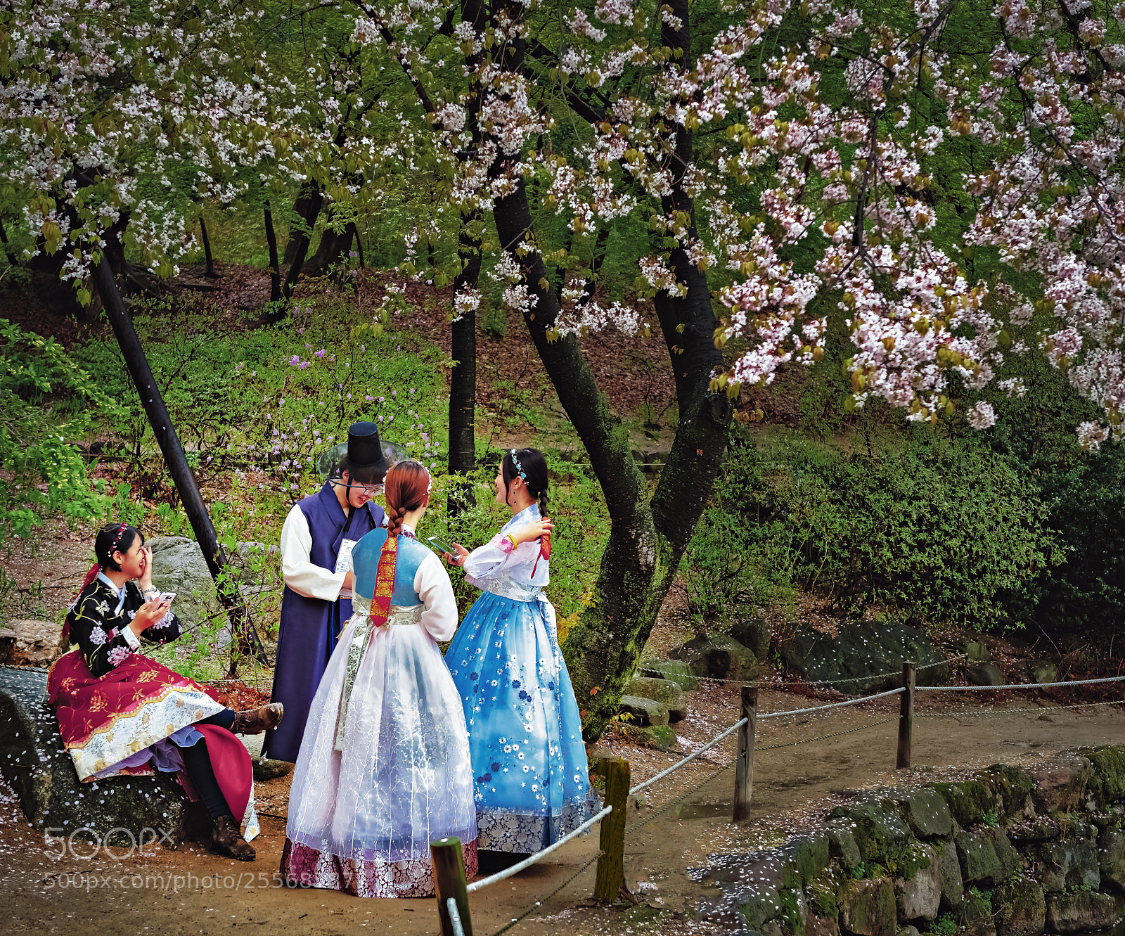 Nikon D850 sample photo. Sunday spring leisure photography
