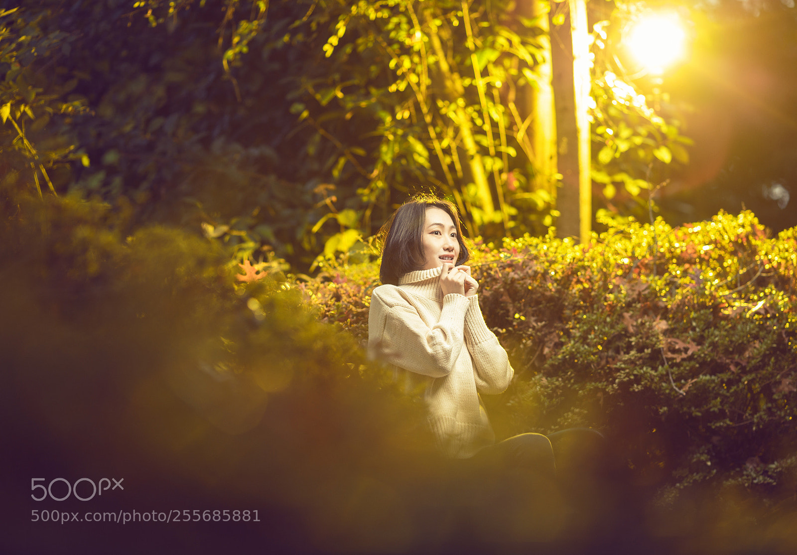 Canon EOS 6D sample photo. Untitled photography