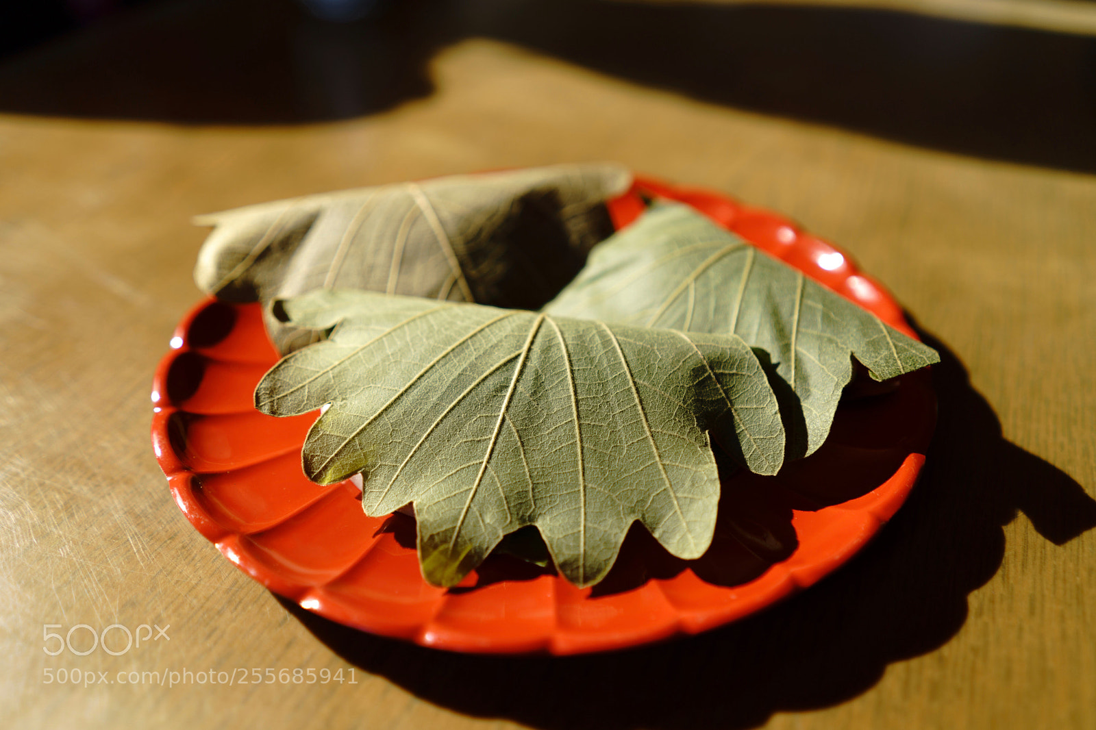 Sony a7 III sample photo. Kashiwa cake.  photography