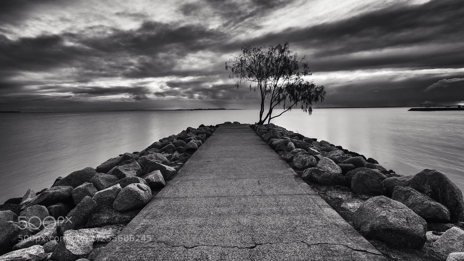 Canon EOS 5DS sample photo. Wynum sunrise photography