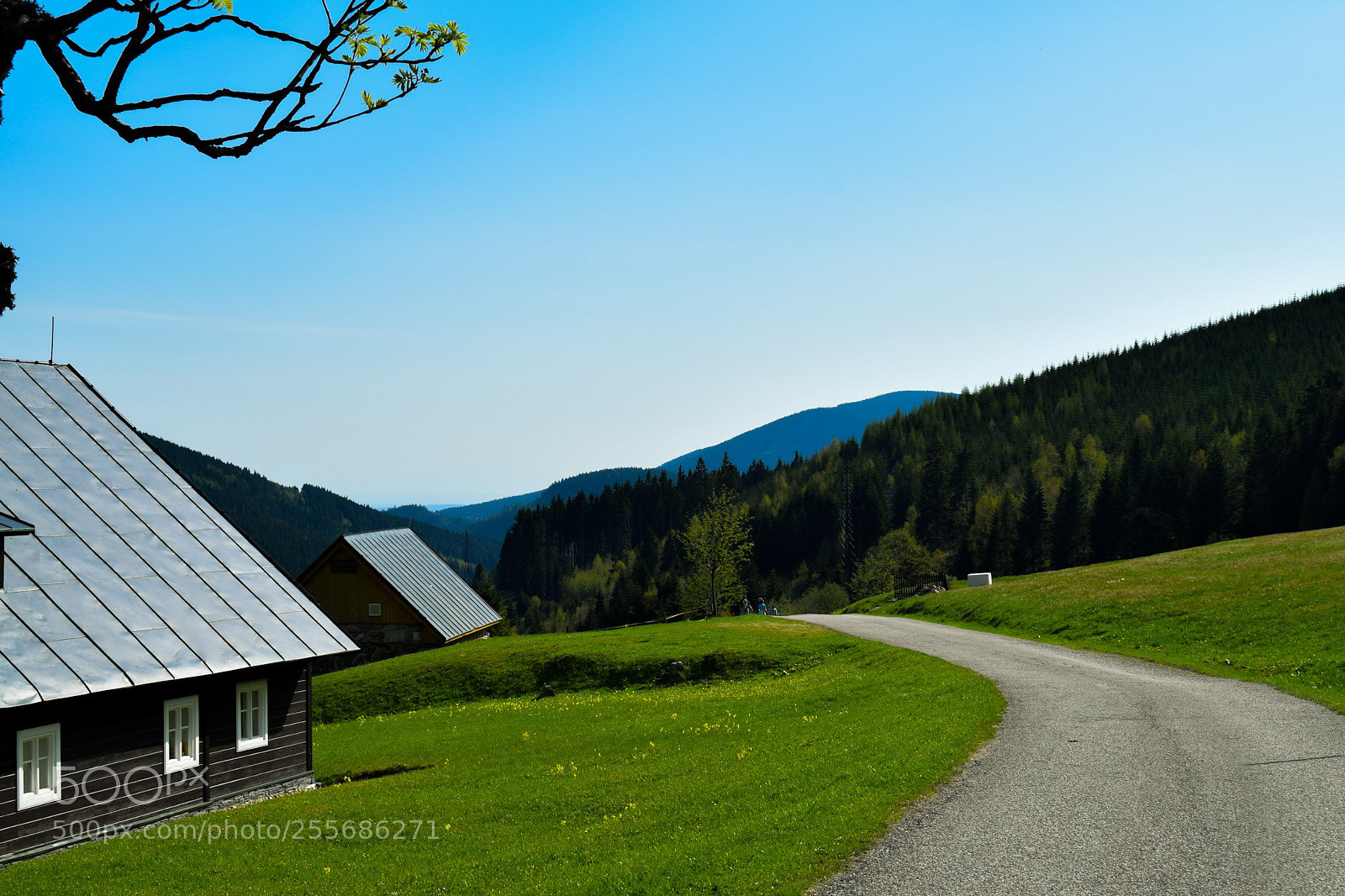Nikon D3300 sample photo. In czech village photography