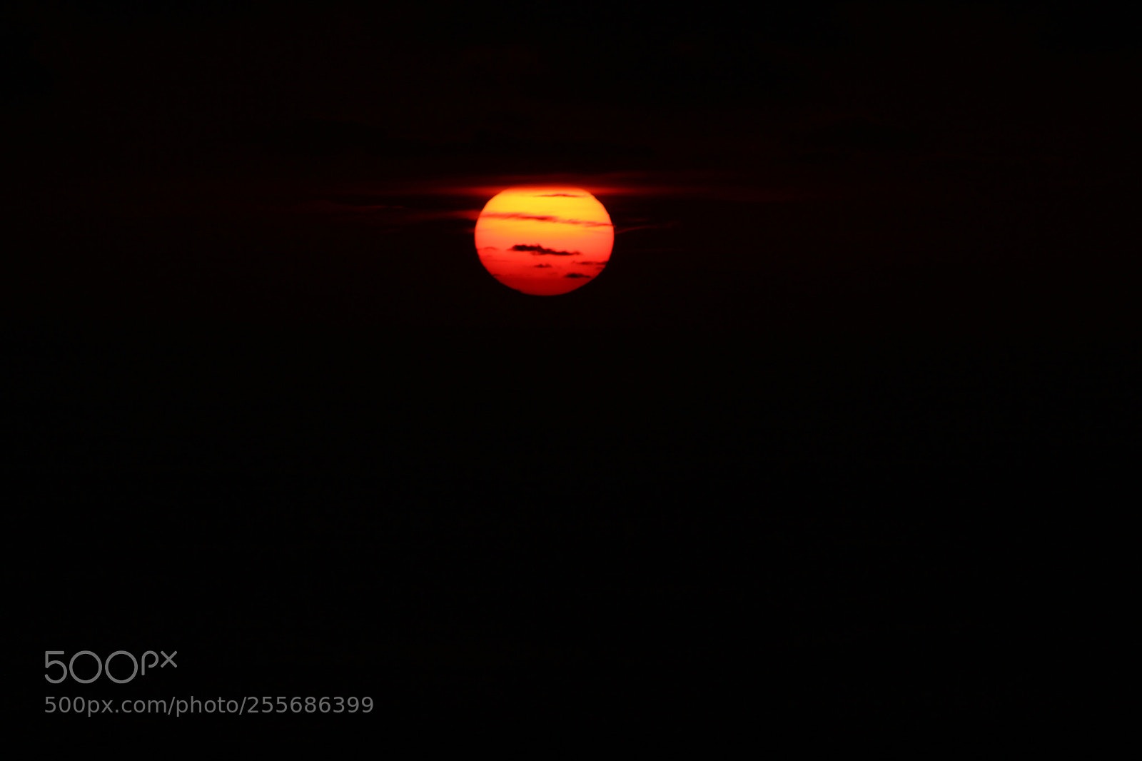 Canon EOS 650D (EOS Rebel T4i / EOS Kiss X6i) sample photo. Sol en llamas  photography