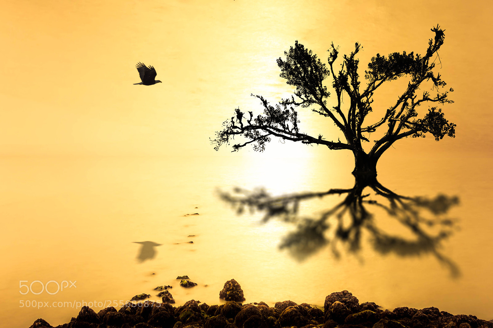 Canon EOS 60D sample photo. Img reflection photography