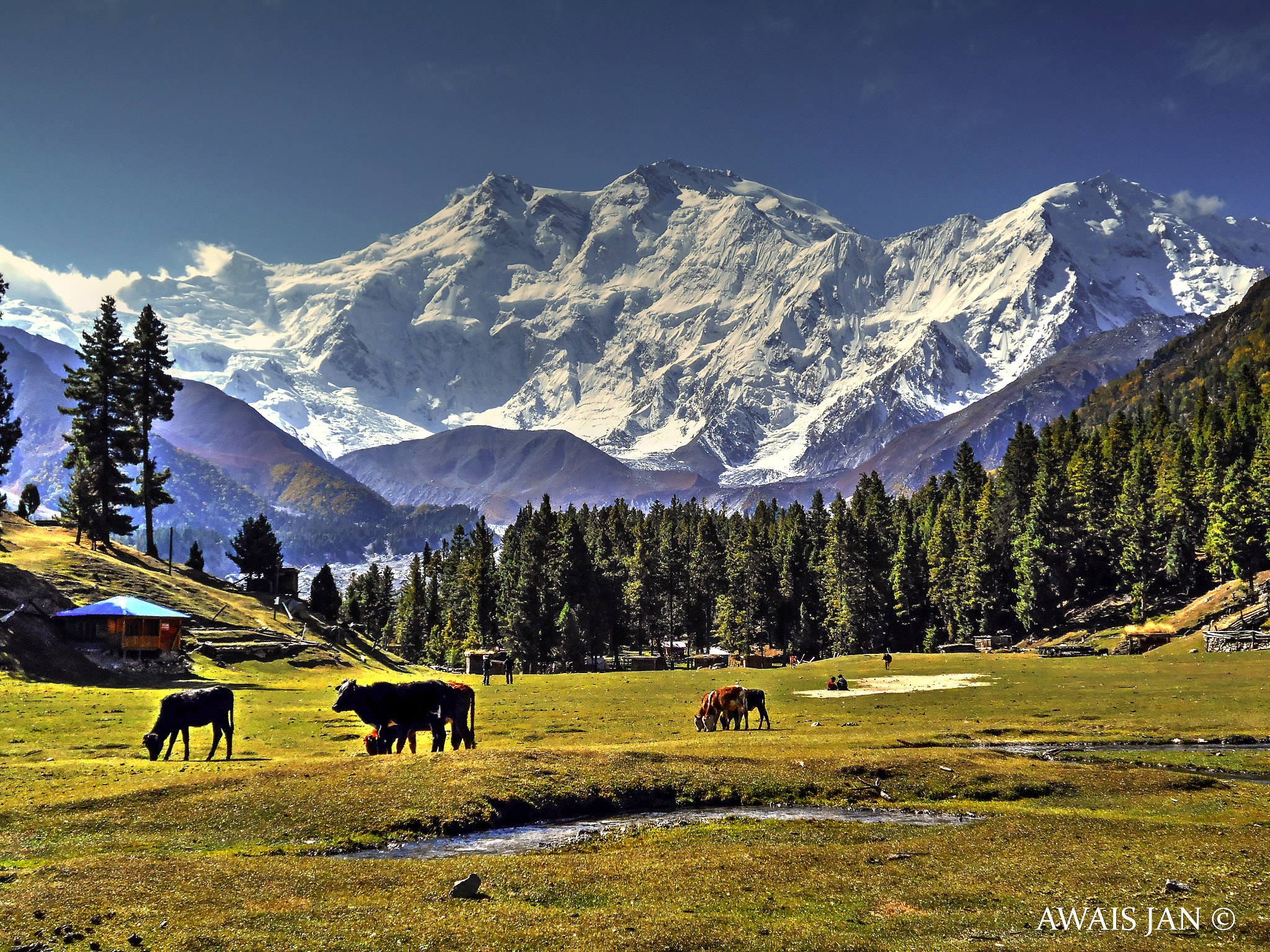 Nikon Coolpix L28 sample photo. Fairy meadows photography