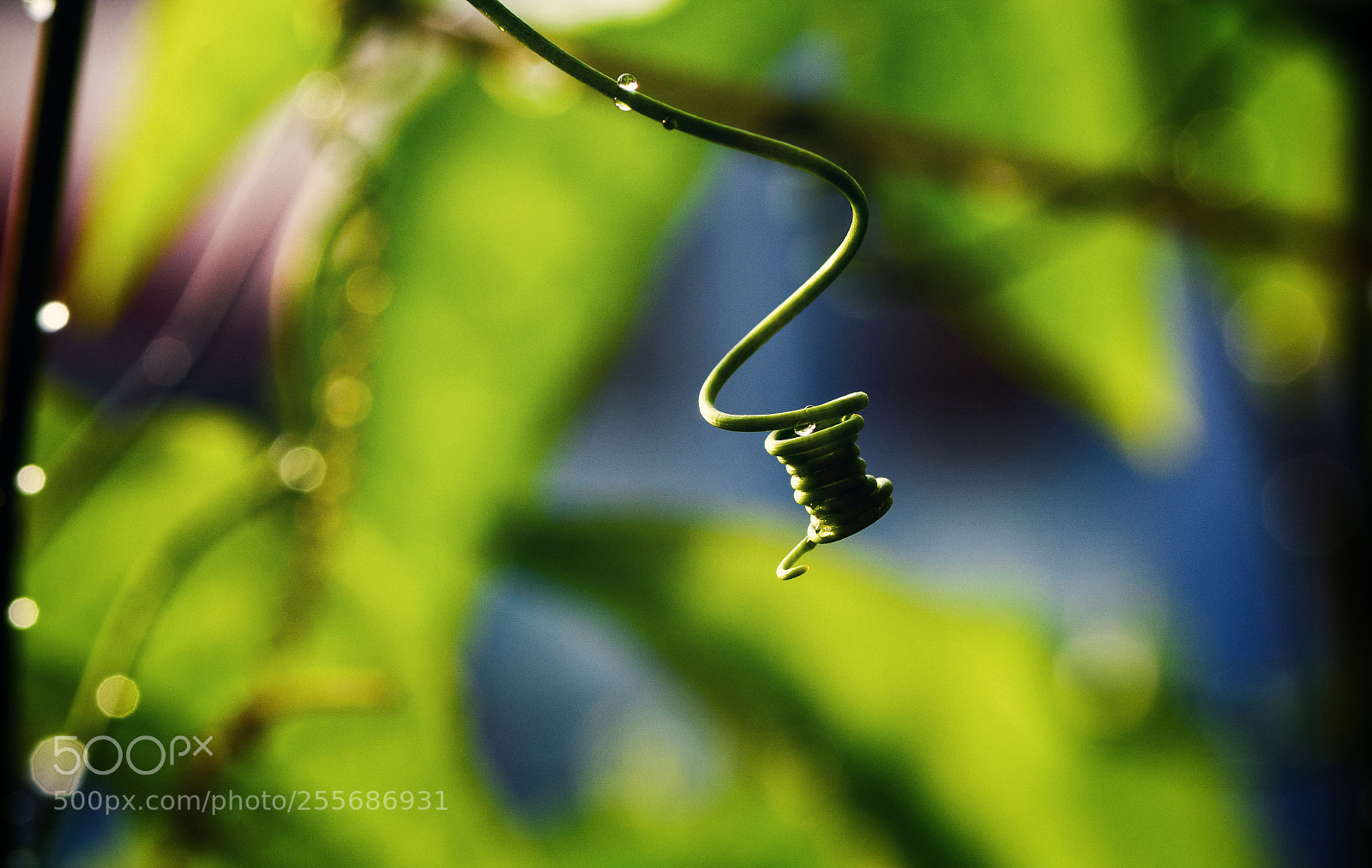 Nikon D7100 sample photo. Untitled photography