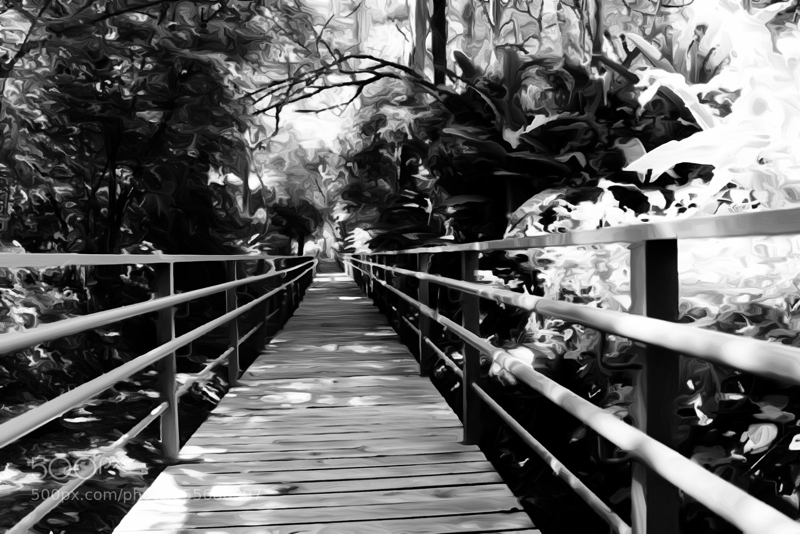Canon EOS 650D (EOS Rebel T4i / EOS Kiss X6i) sample photo. Untitled photography