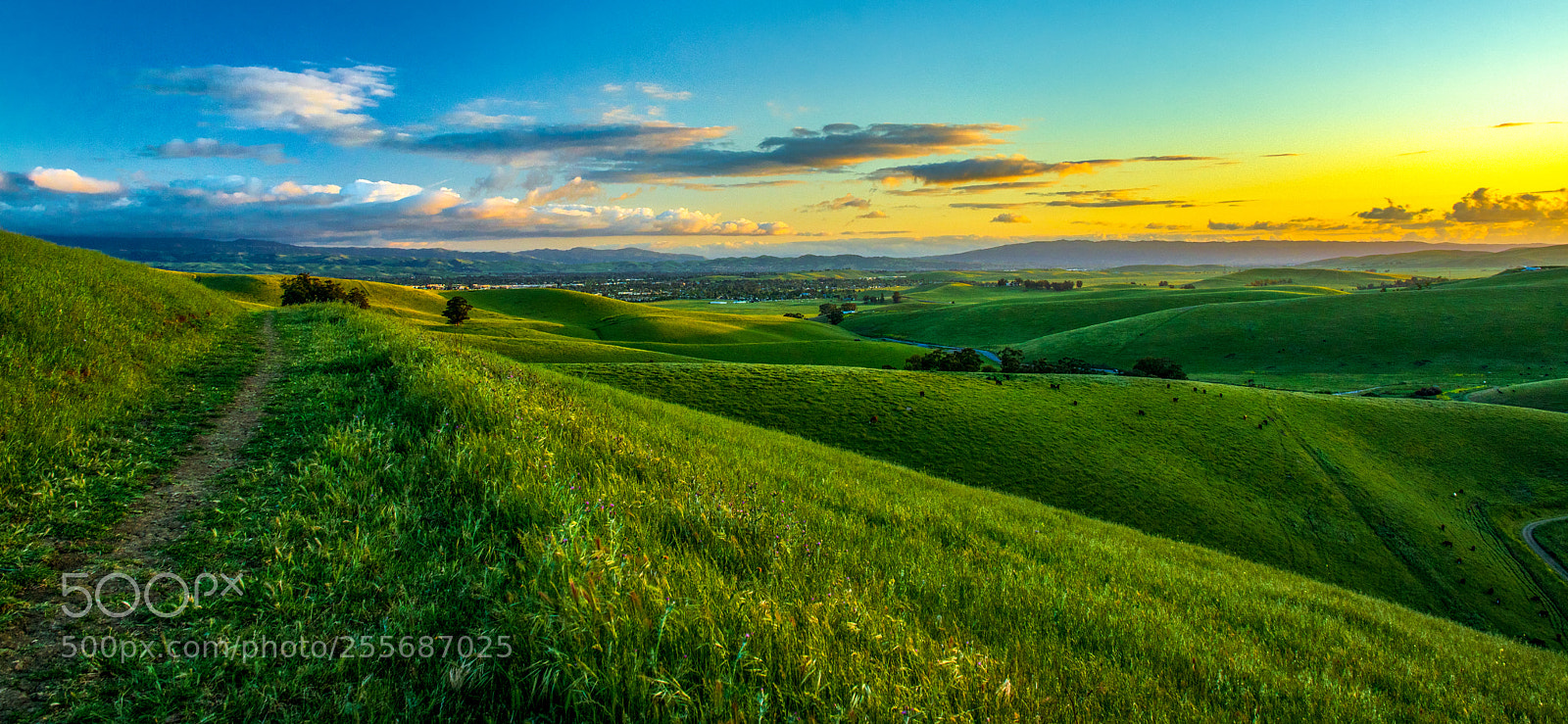Pentax K-3 II sample photo. Brushy peak - sunset photography