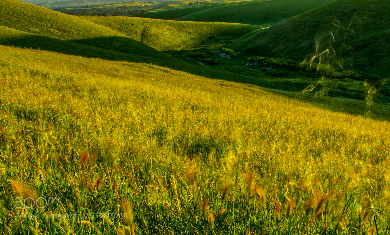 Pentax K-3 II sample photo. Brushy peak - sunset photography
