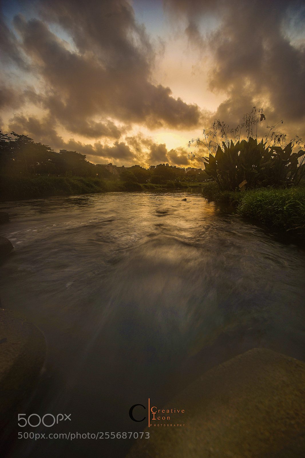 Sony SLT-A99V sample photo. Good morning photography
