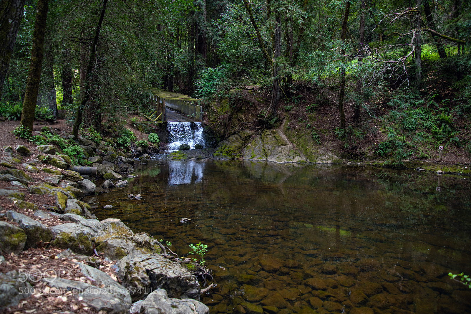 Nikon D850 sample photo. Lagunitas spillway photography
