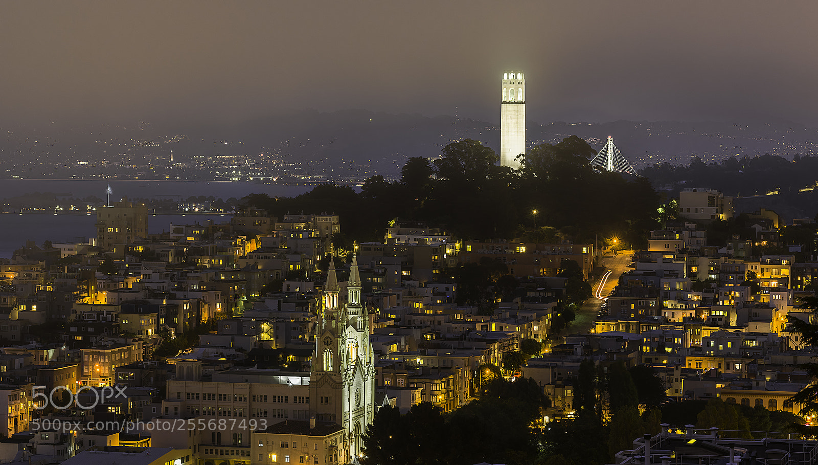 Fujifilm GFX 50S sample photo. Foggy night photography