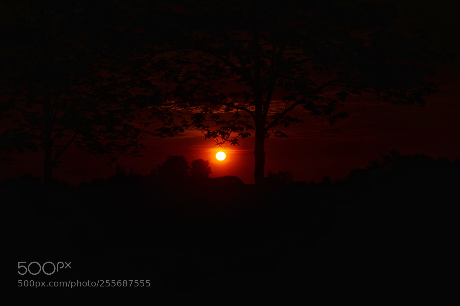 Nikon D5200 sample photo. Sonnenaufgang photography