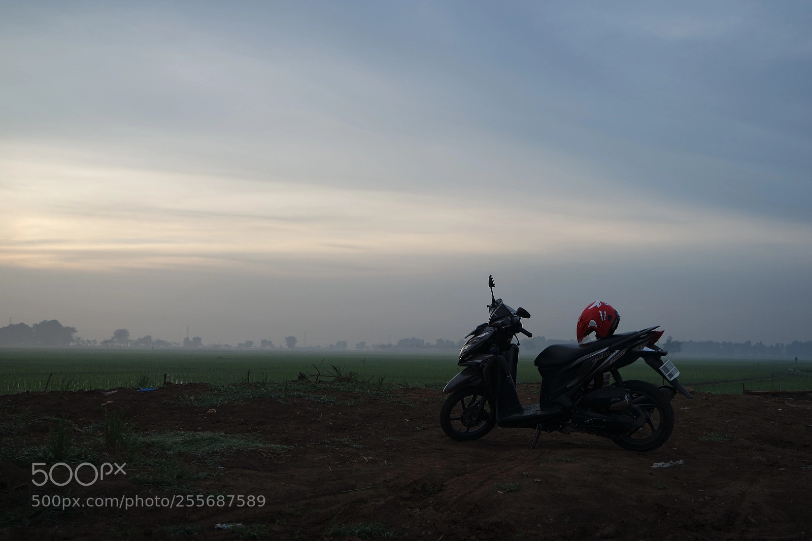Samsung NX3000 sample photo. At the dawn photography