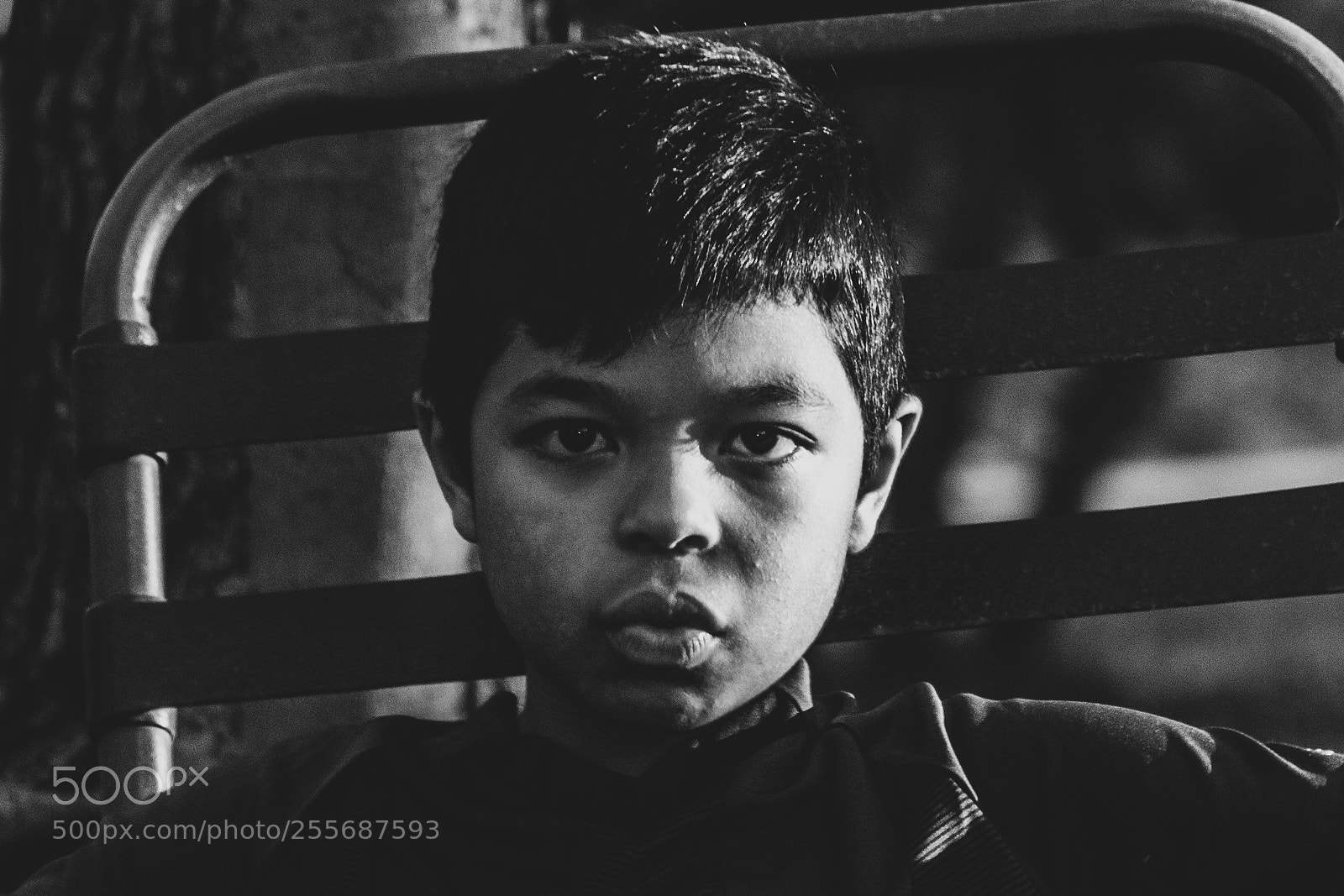 Canon EOS 60D sample photo. Untitled photography