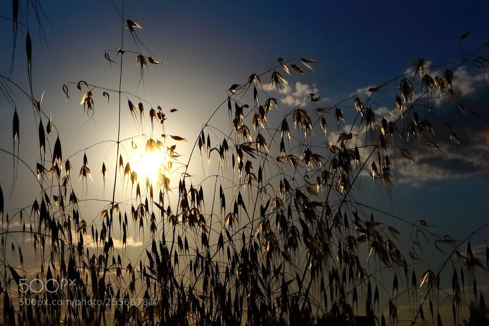 Canon EOS 700D (EOS Rebel T5i / EOS Kiss X7i) sample photo. Sunset photography