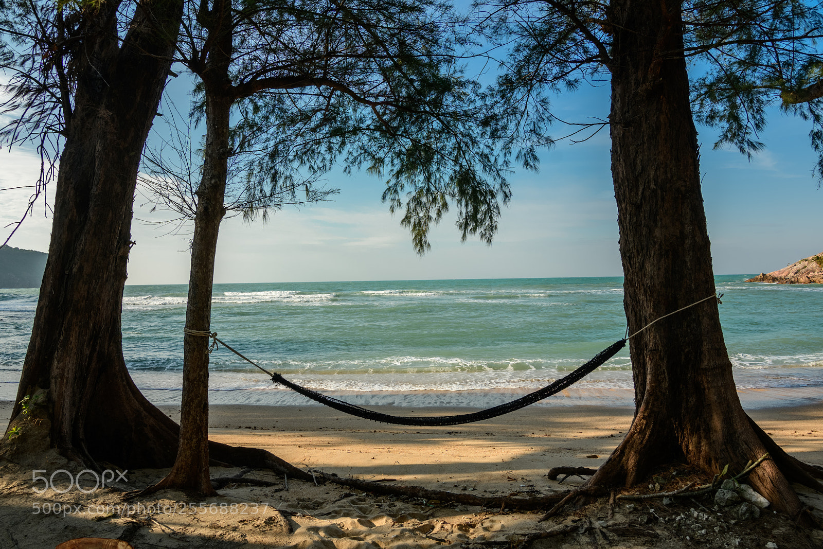Nikon D7500 sample photo. Hammock photography