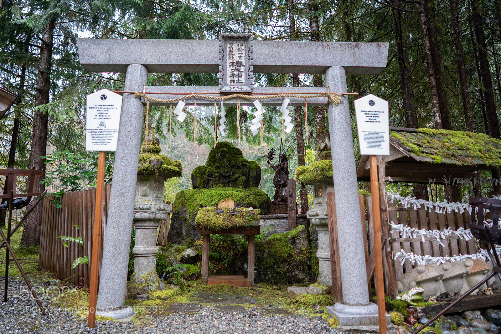 Sony a7R III sample photo. Tsubaki okami yashiro in photography