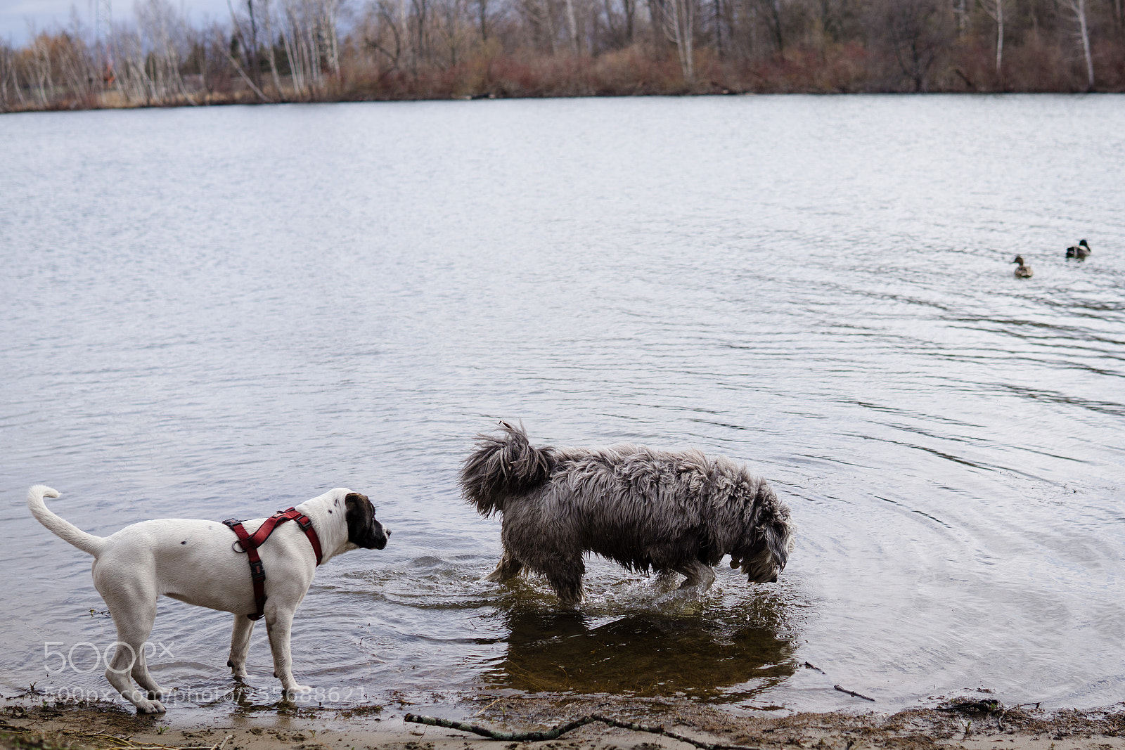 Sony a6000 sample photo. Dsc photography