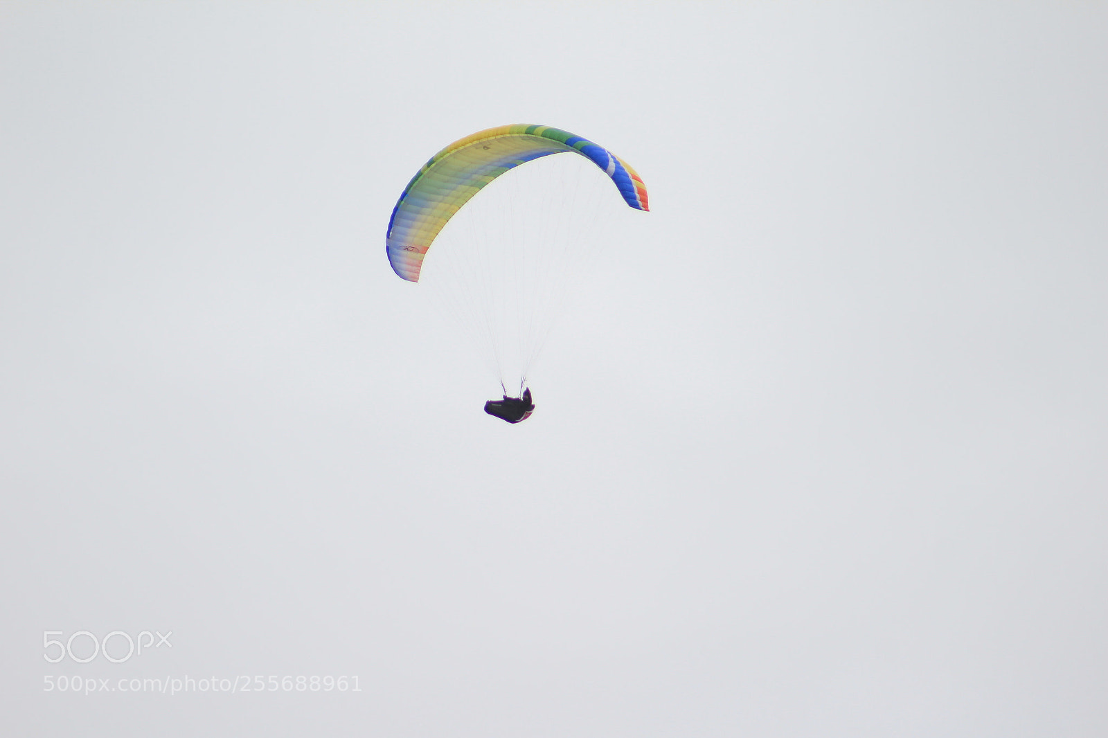 Canon EF 75-300mm f/4-5.6 sample photo. Img photography