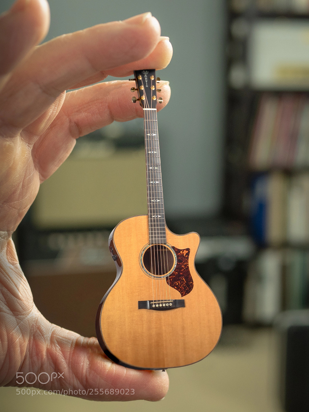 Panasonic Lumix DC-GH5 sample photo. Mini martin photography