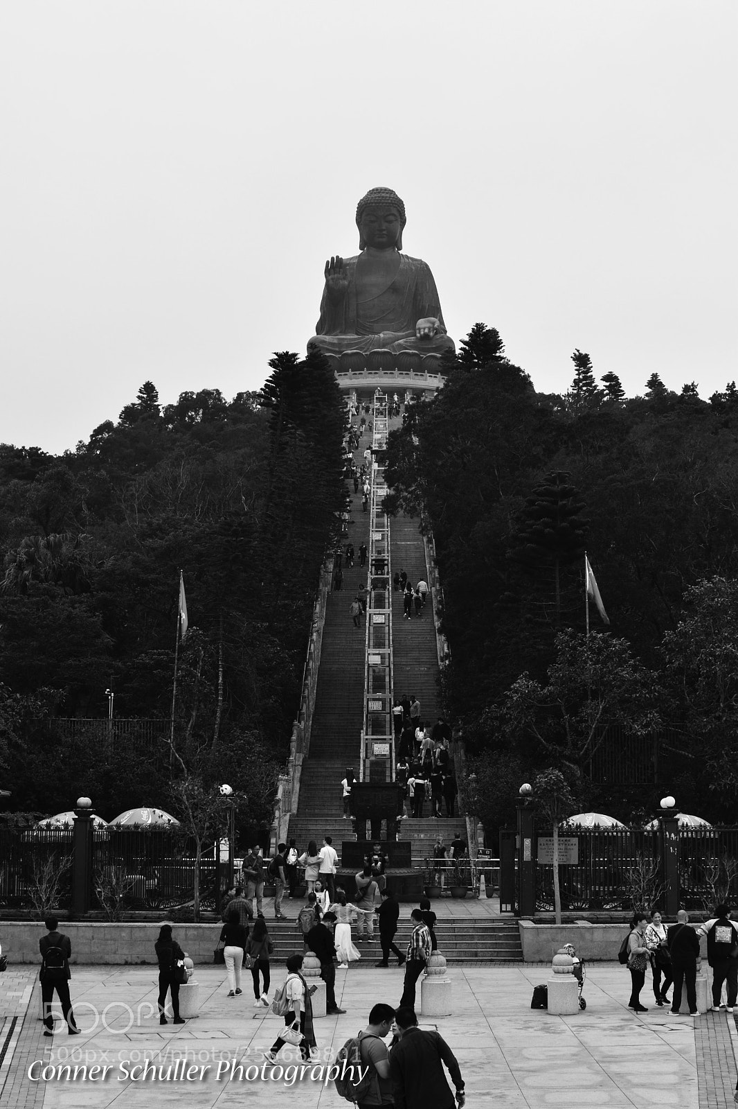 Nikon D5600 sample photo. Big buddha photography