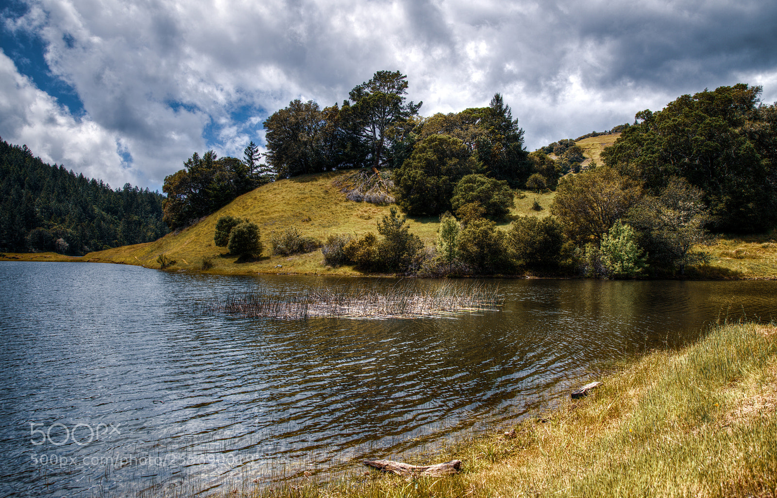 Nikon D850 sample photo. Lake lagunitas california photography