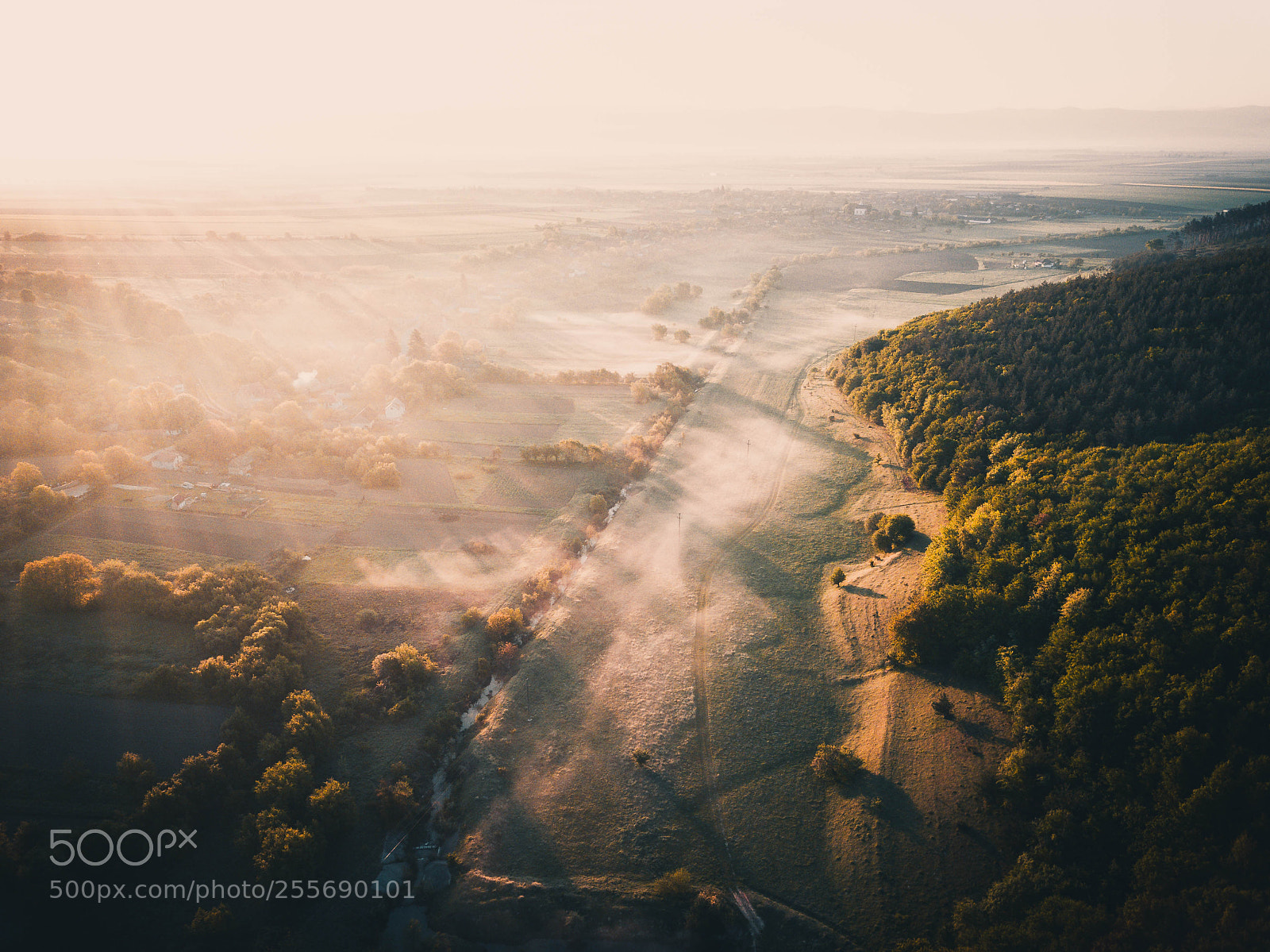 DJI FC220 sample photo. Foggy morning photography