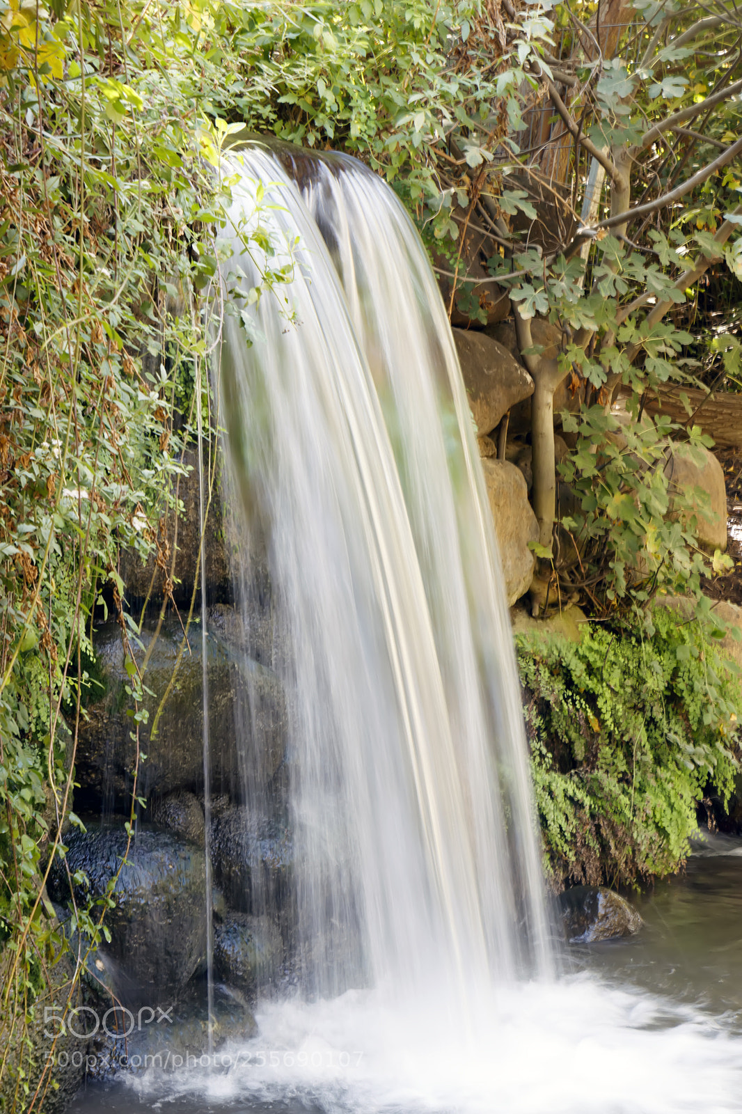 Canon EOS 80D sample photo. A waterfall among green photography