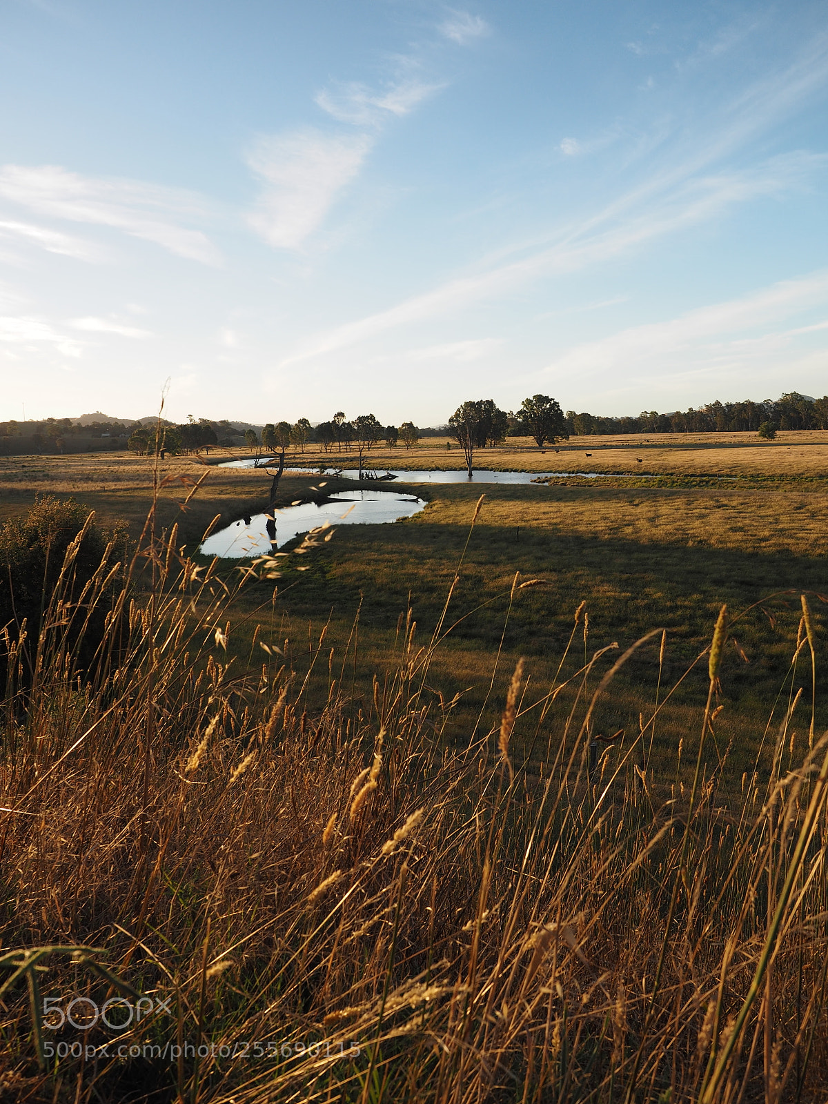 Olympus OM-D E-M1 sample photo. Upper goulbourn billabongs photography